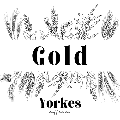 Gold Blend - Coffee Beans